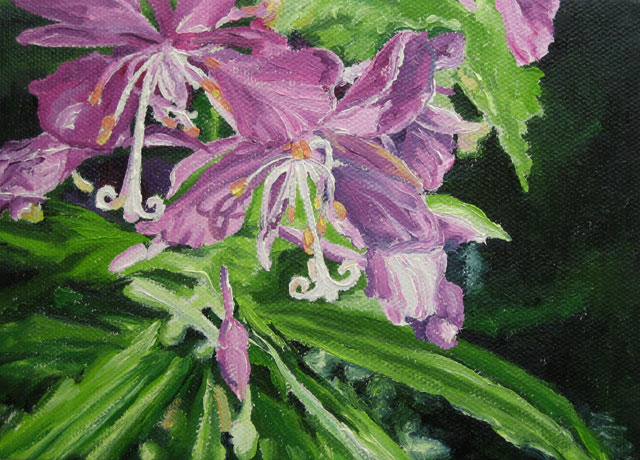 Day 98 - Penney - Fireweed